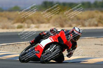 media/May-14-2022-SoCal Trackdays (Sat) [[7b6169074d]]/Turn 16 (1230pm)/